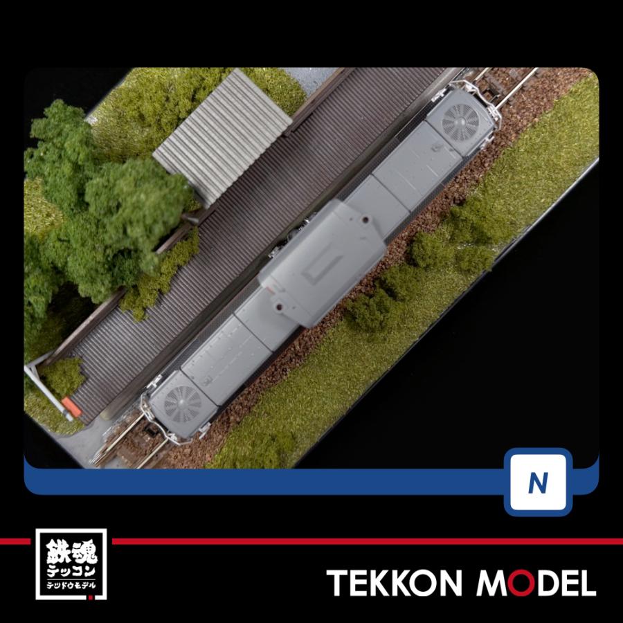 自然単キャベッジ　グランセクト 筑豊本線50系客車列車 マイクロエース・トミックス 競作2社を比較して