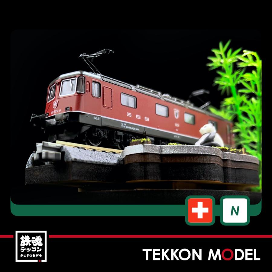 SBB Nゲージ　RE6/6 Fleischmann SBB Re6/6 (緑) 購入しました - 鉄道模型購入日記