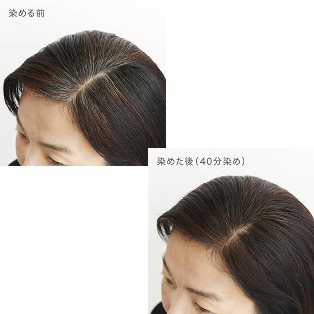 ナイアード　ヘナ　黒茶　木藍 naiad 《おまけ付》ナイアード ヘナ 木藍 黒茶(ダークブラウン