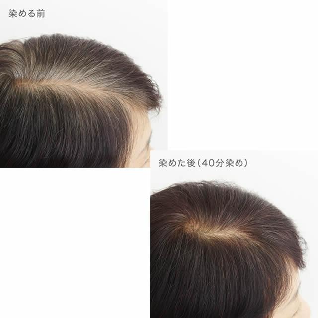 naiad（ナイアード） ヘナ+木藍 黒茶系 100g : 人と地球にやさしい