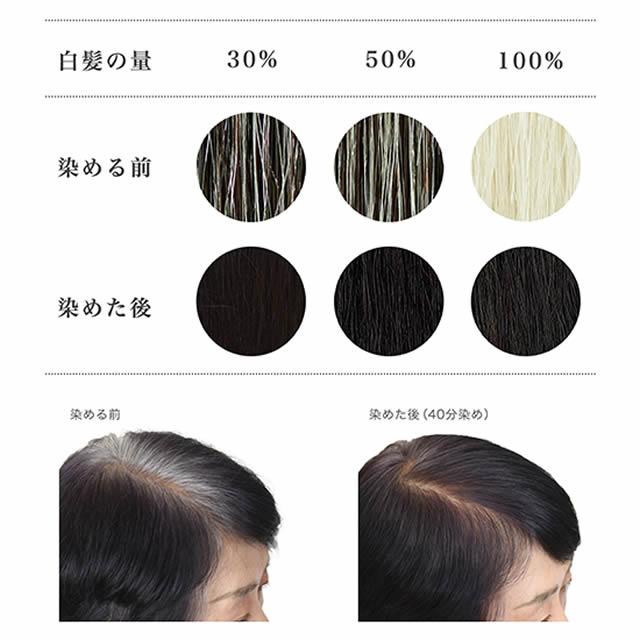ナイアード ヘナ+木藍 黒 100g : 人と地球にやさしい暮らしてくてく