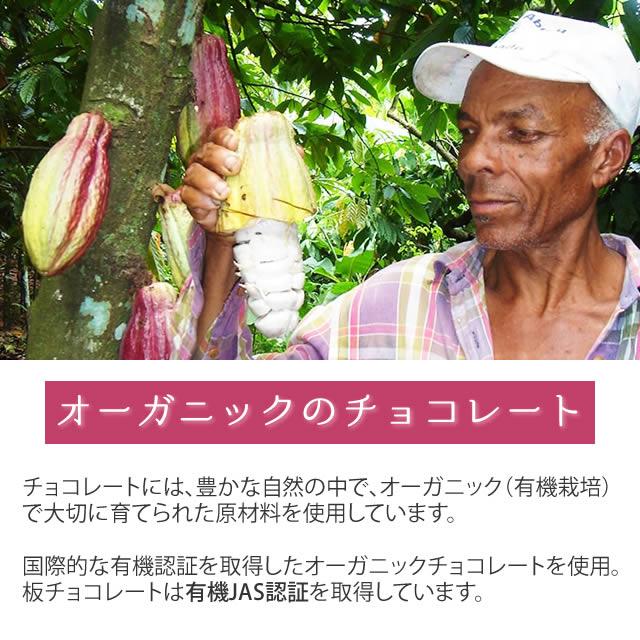 第3世界ショップ フェアトレードチョコレート　有機ヘーゼルナッツチョコレート 〔カカオ約38%〕 100g |  | 03