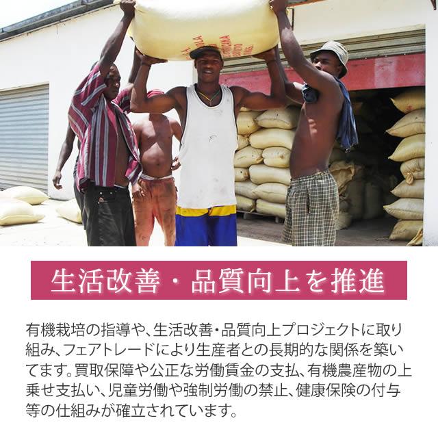 第3世界ショップ フェアトレードチョコレート　有機ヘーゼルナッツチョコレート 〔カカオ約38%〕 100g |  | 06