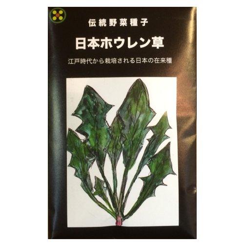 【固定種】日本ホウレン草50ml(約1600粒）　畑懐〔はふう〕の種【メール便可】 | 