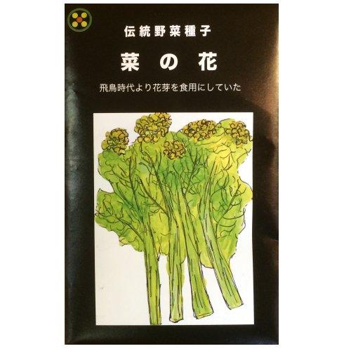 在来種 固定種 野菜のタネ 菜の花5ml 約800粒 畑懐 はふう の種 メール便可 Hn 冷えとりとやさしい暮らしてくてく 通販 Yahoo ショッピング