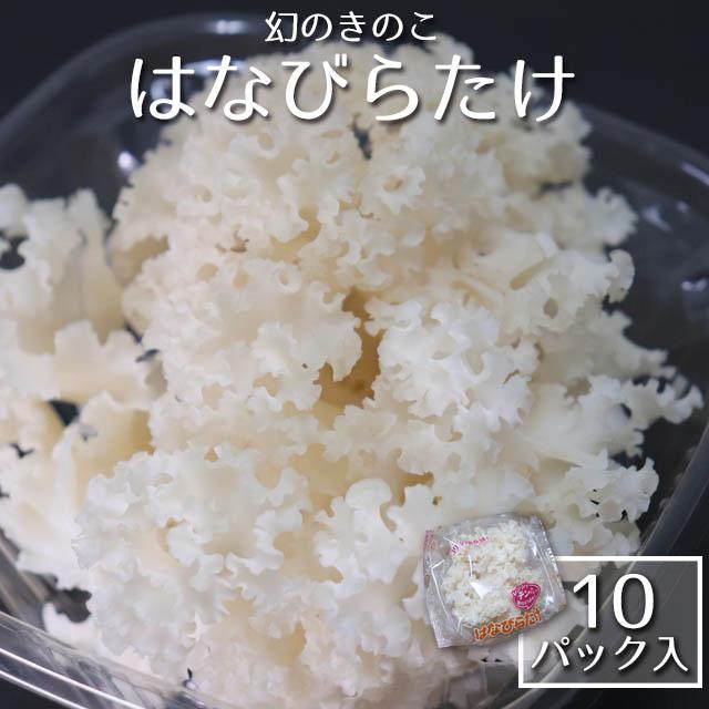 南信州産・はなびらたけ 〔10パック入〕 : 人と地球にやさしい暮らし