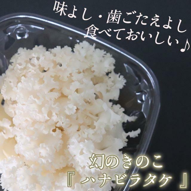 ネットより安い❤️ハナビラタケ❤️試食品も少しあり‼️ 【公式通販】