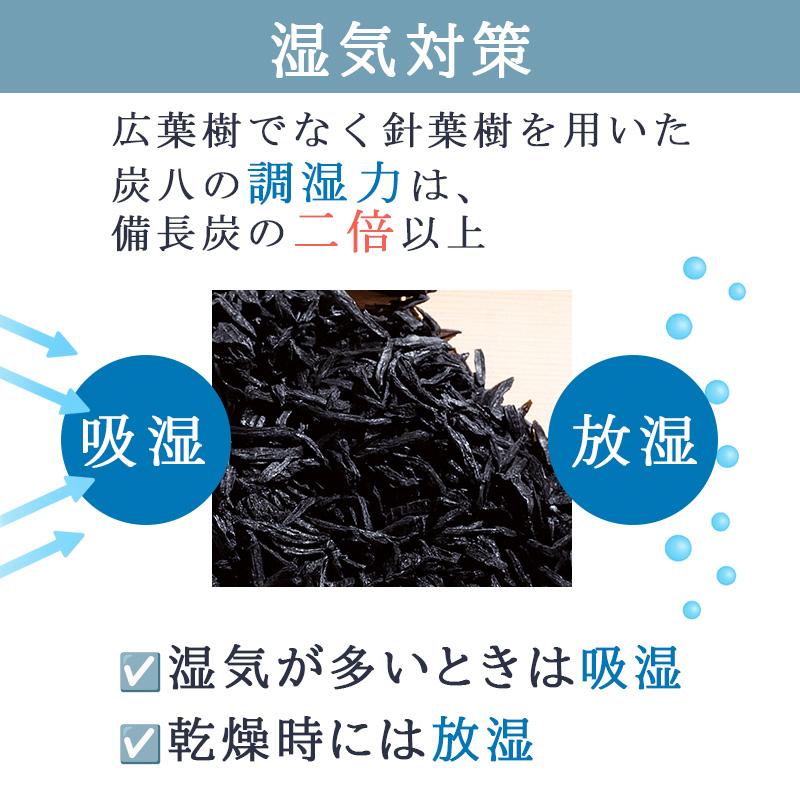 出雲屋炭八 炭八 3L 5個+炭八スマート小袋 2個セット ホワイト 出雲カーボン 4580122111113★ | 出雲カーボン | 02