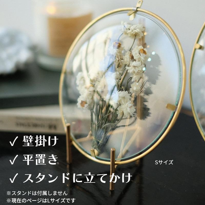 PIKE Glass Dome Frame CLEAR L ラウンドフレーム クリアタイプ 日本製 真鍮 インテリア ウエストビレッジトーキョー 4589824364957★ | WEST VILLAGE TOKYO | 04