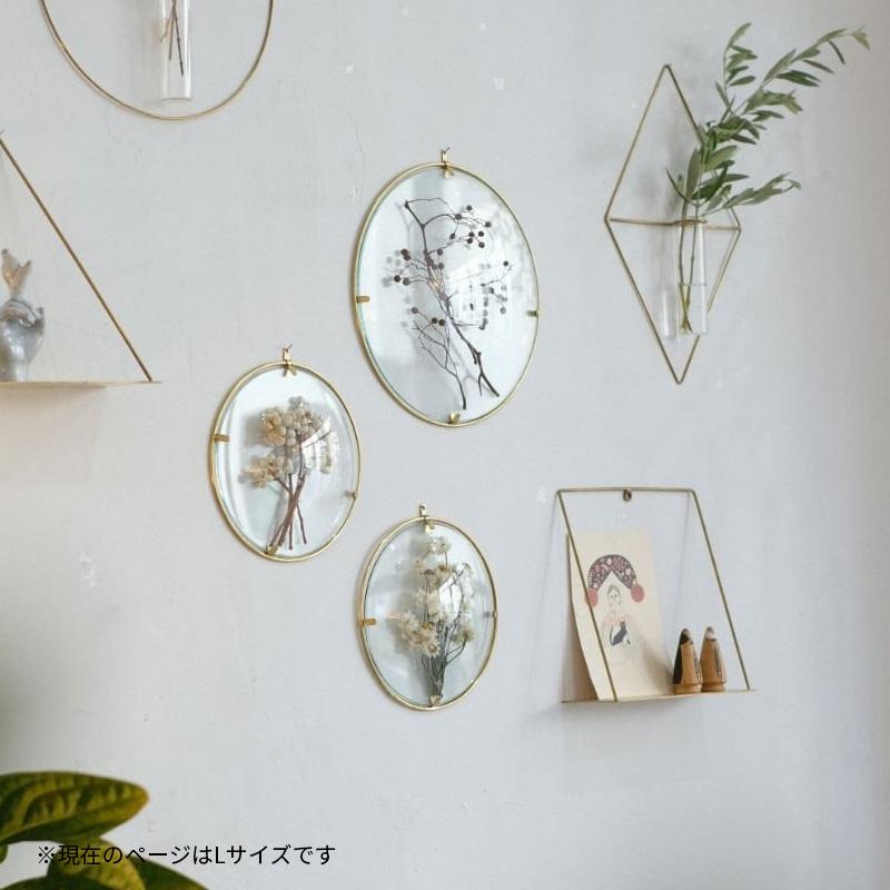 PIKE Glass Dome Frame CLEAR L ラウンドフレーム クリアタイプ 日本製 真鍮 インテリア ウエストビレッジトーキョー 4589824364957★ | WEST VILLAGE TOKYO | 09