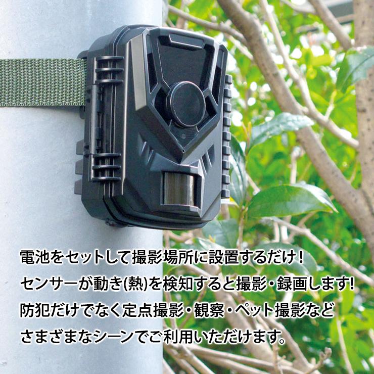 Alter+ 電池式センサーカメラ MOVE SHOT キャロットシステムズ AT-1