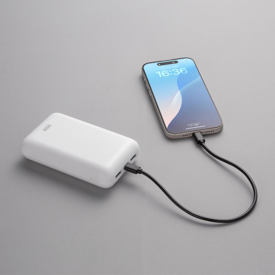 モバイルバッテリー(20000mAh・PD20W) (PSE適合品) SANWA SUPPLY (サンワサプライ) BTL-RDC39 | SANWA SUPPLY | 05