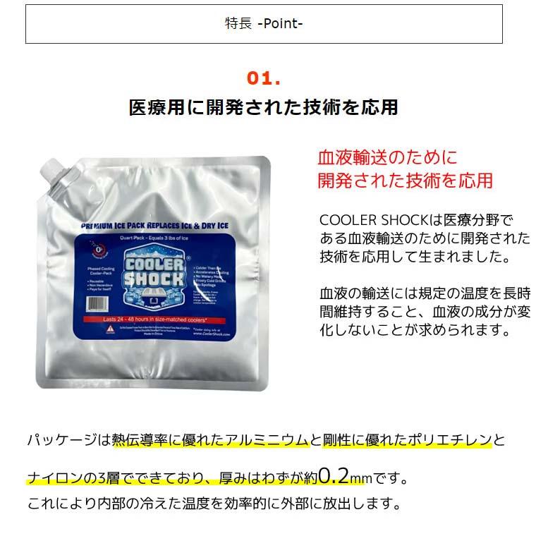 COOLER SHOCK Sサイズ 10Pセット プラス1Pおまけ クーラーショック 保冷剤 保冷 ソフト COOLER SHOCK クーラーショック COOLERSHOCK-S11★_2