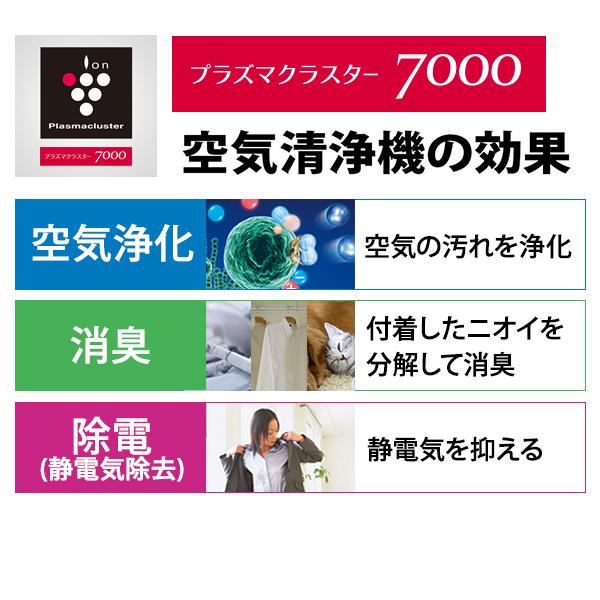 【特価セール】 加湿空気清浄機 プラズマクラスター7000搭載エントリーモデル ホワイト系 SHARP (シャープ) KC-R50-W★｜telaffy｜03