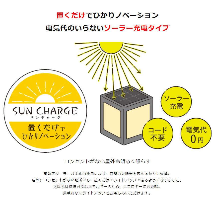 タカショー LEDIUS HOME ひかりノベーション SC 道のひかりセット SUN 
