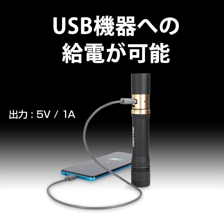 REXEED REXEEDシリーズ USB充電式ハンディライト 900lm フォーカス