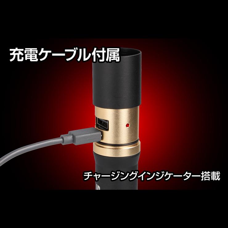 REXEED REXEEDシリーズ 充電式ハンディライト 900lm GENTOS