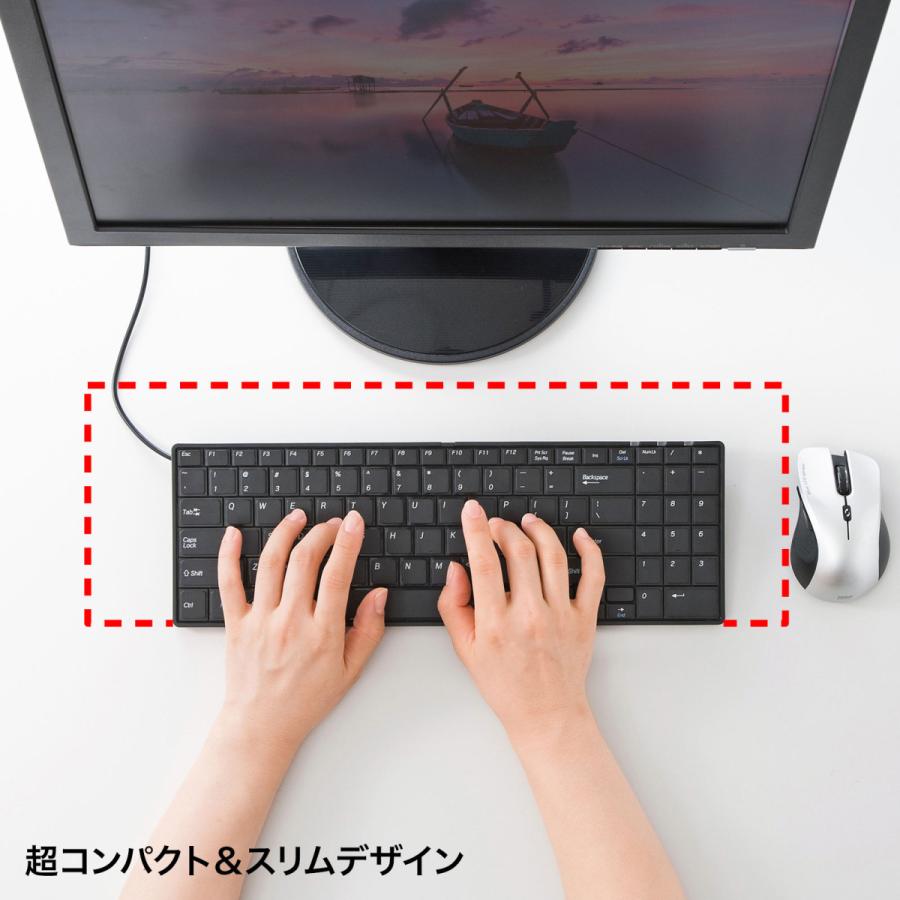 英語配列USBスリムキーボード(ブラック) SANWA SUPPLY (サンワサプライ) SKB-E2UN｜telaffy｜10