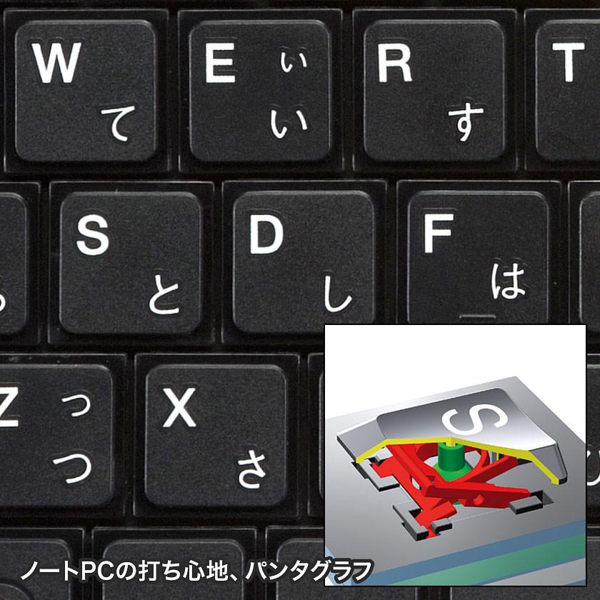 SANWA SUPPLY（サンワサプライ） USBスリムキーボード(ブラック