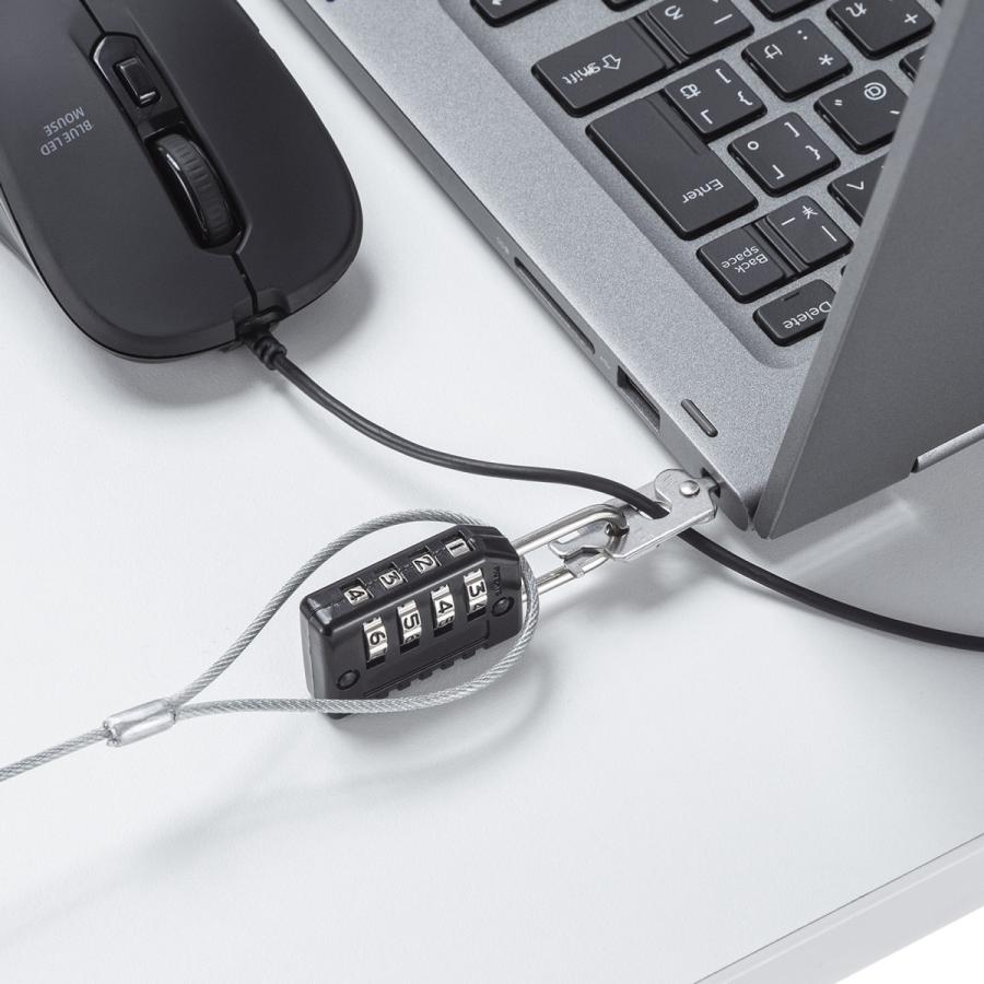 SANWA SUPPLY（サンワサプライ） スロットマルチ対応セキュリティ