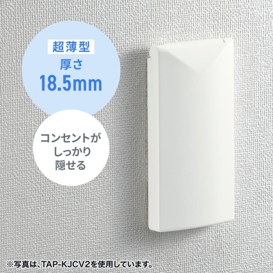 SANWA SUPPLY（サンワサプライ） 鍵付きセキュリティスリムコンセント