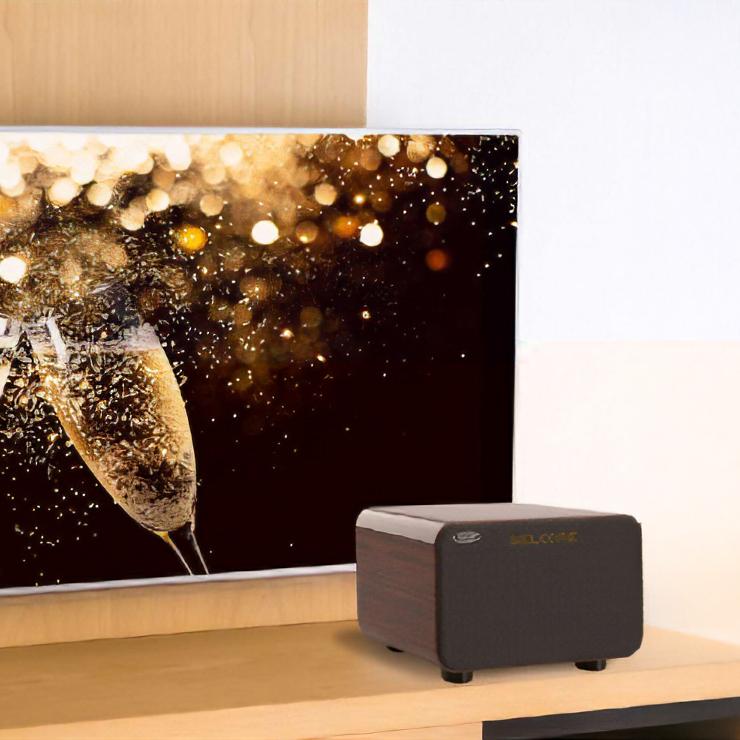 TO-PLAN アンプ内蔵カラオケスピーカー サウンドプロMAX Bluetooth