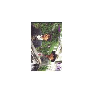 テレカ テレホンカード CHAGE&ASKA T5007-0011 テレカ テレホンカード CHAGE\u0026ASKA T5007-0011