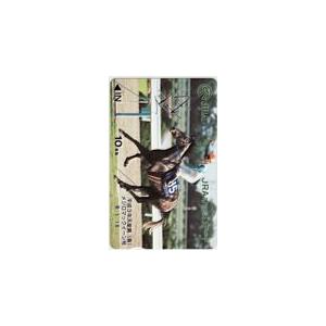 オッズカード メジロマックイーン オッズカード10 U0002-0036