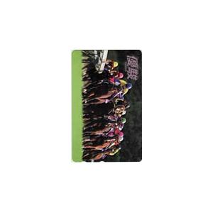 テレカ テレホンカード 優駿 ディープインパクト UZ001-0065