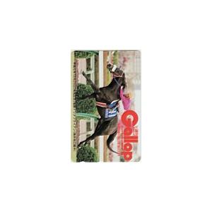 テレカ テレホンカード ギャロップ ナリタブライアン UZG11-9772