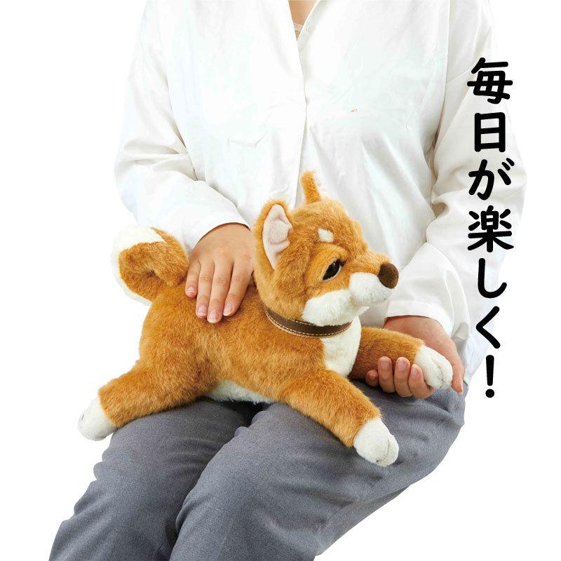 なごみケーションわんこ　イワヤ イワヤ] なごみケーションわんこ 柴犬: ネットデパート｜トキハ