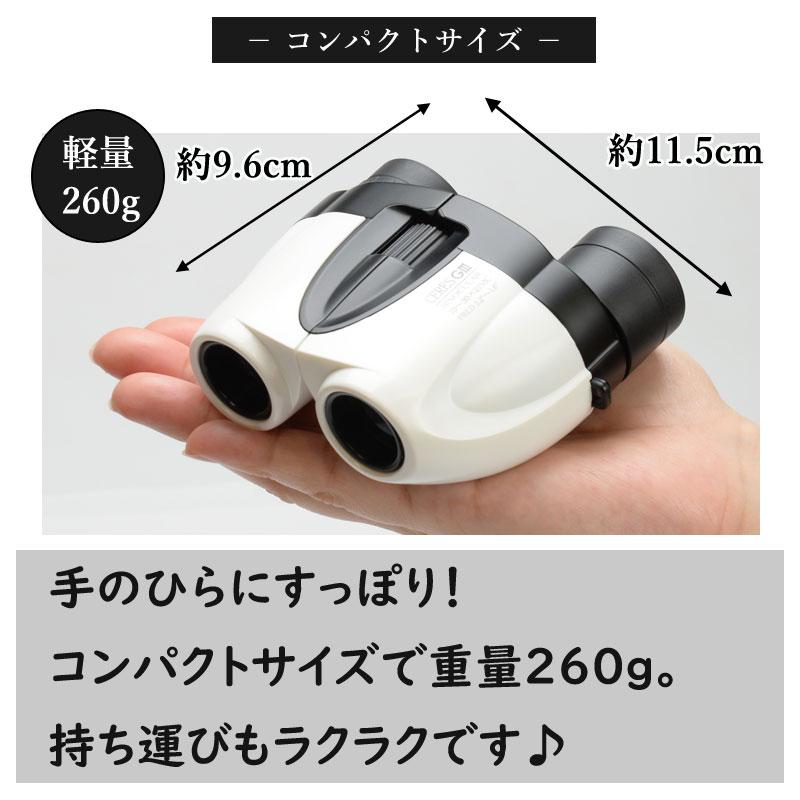 ケンコー 双眼鏡 10〜30倍 21口径 特典付き 観劇 スポーツ観戦 ケンコー 双眼鏡 10〜30倍 21口径 特典付き 観劇 スポーツ観戦