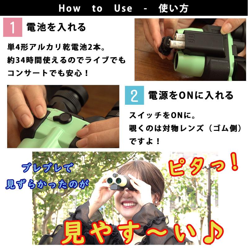 サイトロン 防振双眼鏡 12倍 FESTA 12x21 STABI III SIGHTRON 手ブレ 