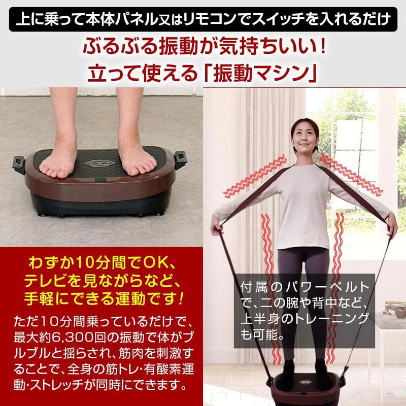 ブルブル振動マシン ライフフィット 2Wayトレーナー スマート Fit016 特典付き LIFE FIT ぶるぶる 乗るだけ エクササイズ ダイエット 筋トレ 2516_3