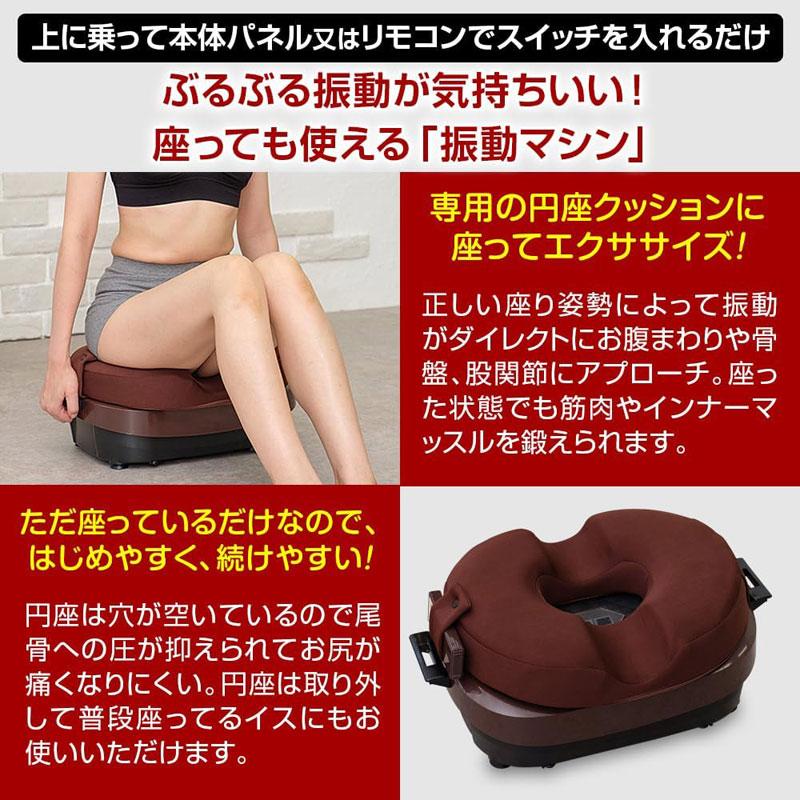 ブルブル振動マシン ライフフィット 2Wayトレーナー スマート Fit016 特典付き LIFE FIT ぶるぶる 乗るだけ エクササイズ ダイエット 筋トレ 2516_4