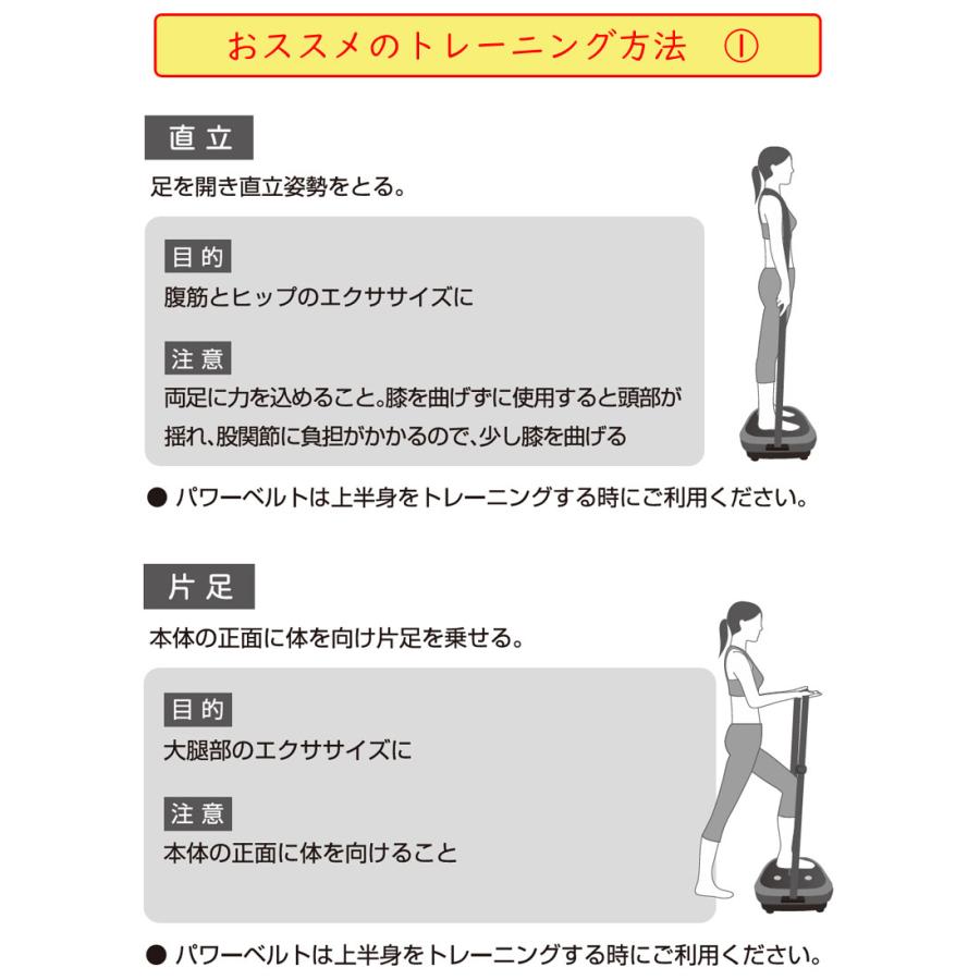 ブルブル振動マシン ライフフィット 2Wayトレーナー スマート Fit016