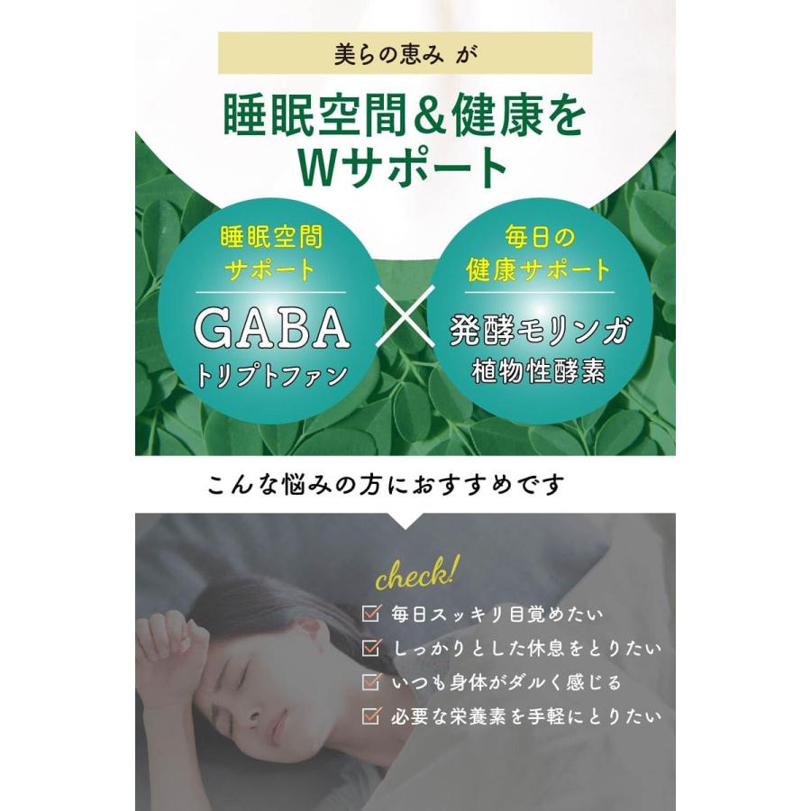青汁 乳酸菌 沖縄県産 モリンガ フルーツ青汁 88種の酵素 30包 発酵 美