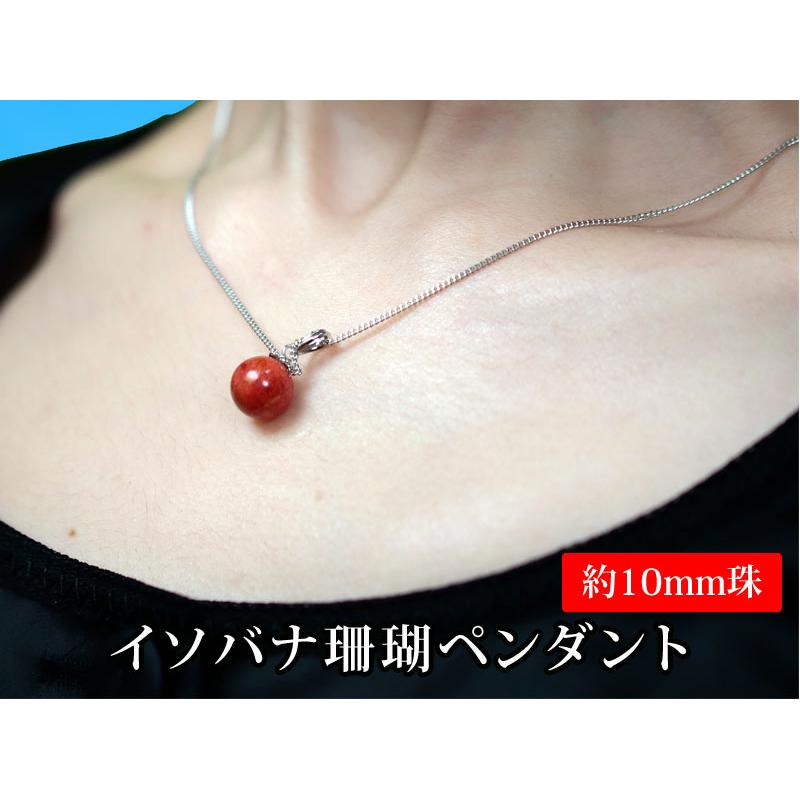 ネックレス 真珠 大丸松坂屋 国産あこや イソバナ珊瑚ペンダント 3点 