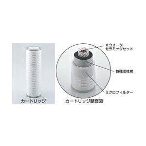 πウォーターシステム アクアパイ251用交換カートリッジ IBE アイビー 