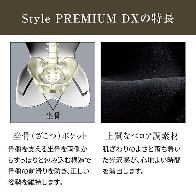 Style PREMIUM DX 骨盤矯正クッション 1pcs スタイルプレミアム デラックス 骨盤 猫背 姿勢 送料無料