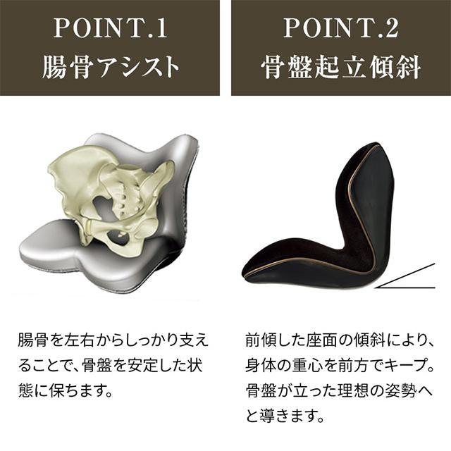 MTG Style PREMIUM スタイルプレミアム　姿勢矯正チェア　取説付き 姿勢 テレワーク】スタイル プレミアム | Style PREMIUM | Style