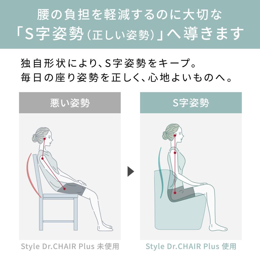 Style スタイル ドクターチェアプラス BS-DP2244F 姿勢サポート Style スタイル ドクターチェアプラス BS-DP2244F 姿勢サポート