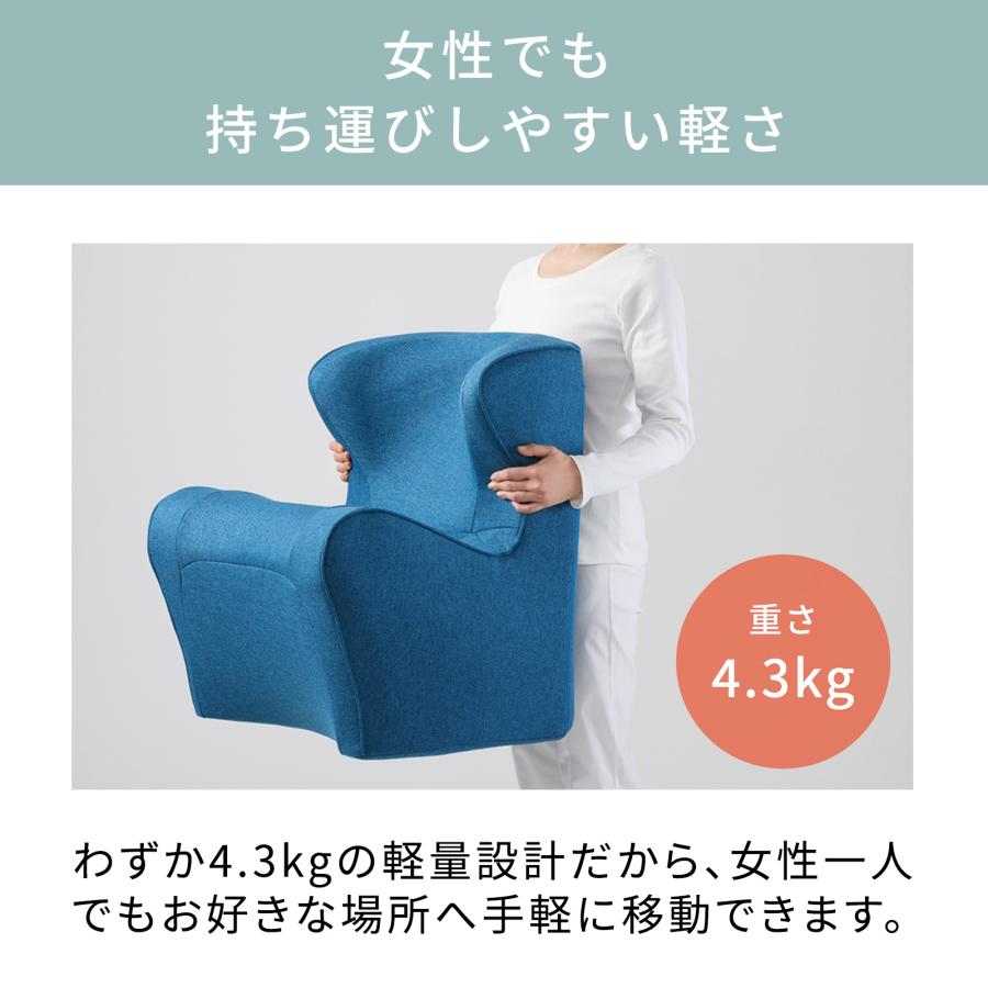 Style スタイル ドクターチェアプラス BS-DP2244F 姿勢サポート Style スタイル ドクターチェアプラス BS-DP2244F 姿勢サポート