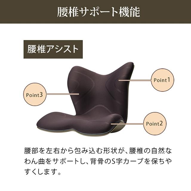 Style MTG正規販売店 スタイルプレミアム PREMIUM 骨盤 Style MTG正規販売店 スタイルプレミアム PREMIUM 骨盤
