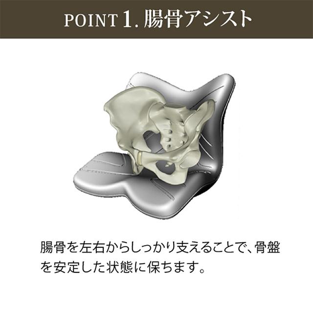 MTG正規販売店 スタイルプレミアム Style PREMIUM 骨盤クッション 姿勢 MTG正規販売店 スタイルプレミアム Style PREMIUM 骨盤クッション 姿勢