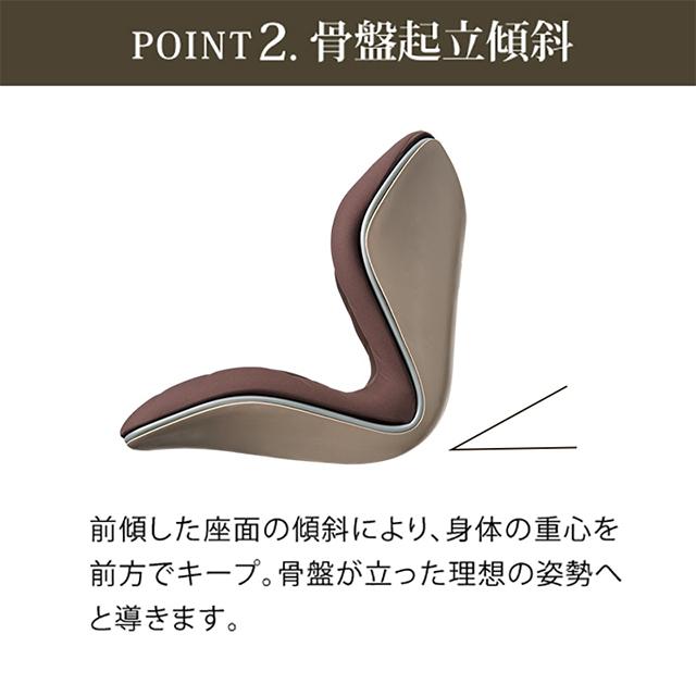 Style MTG正規販売店 スタイルプレミアム PREMIUM 骨盤 Style MTG正規販売店 スタイルプレミアム PREMIUM 骨盤