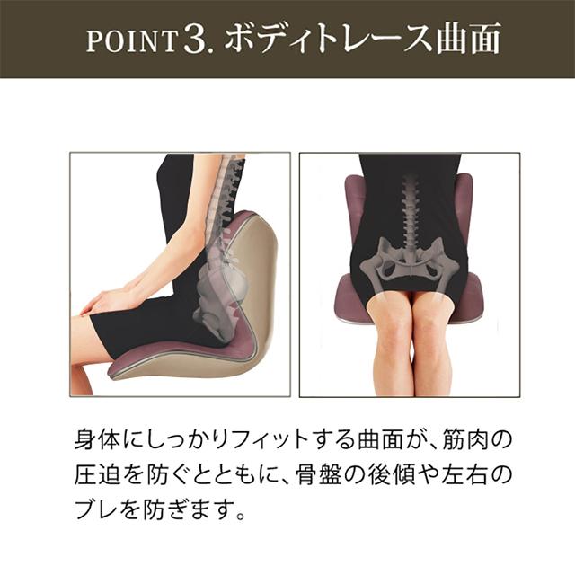 Style MTG正規販売店 スタイルプレミアム PREMIUM 骨盤 Style MTG正規販売店 スタイルプレミアム PREMIUM 骨盤