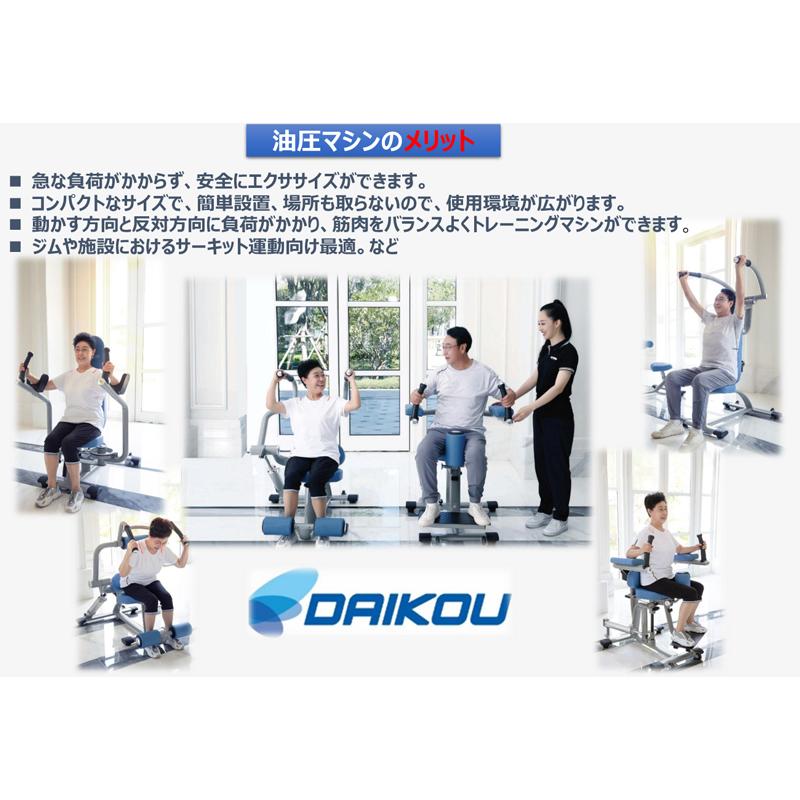 最高級のスーパー ダイコー DK-673 ショルダープレス プルダウン DK673 DAIKOU ダイコウ 大広 ショルダープレス プルダウン DK-673