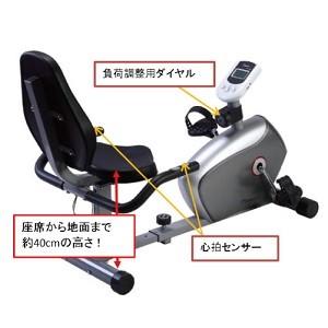 DAIKO（ダイコー） リカンベントバイク ダイコウ DAIKOU DK-8304R 