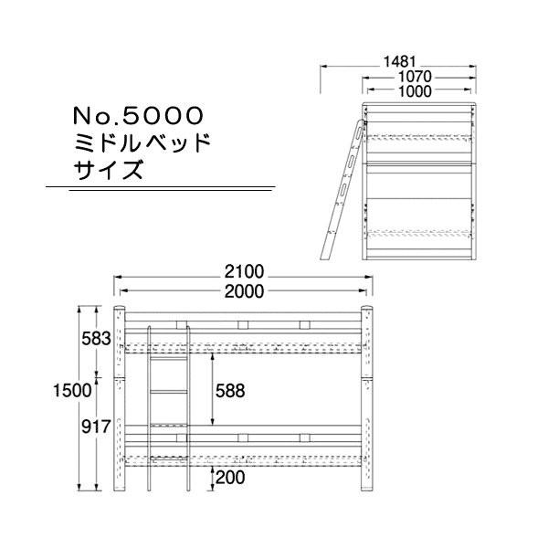 【早い者勝ち！】 浜本工芸 2021年モデル No.5000 二段ベッド No.5004/5000/5008 開梱設置無料 代引き不可 【EIM4501595756】(163350円)